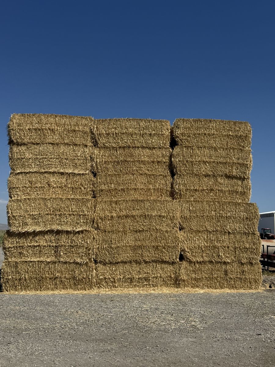 Clean 3x4 Straw Bales 