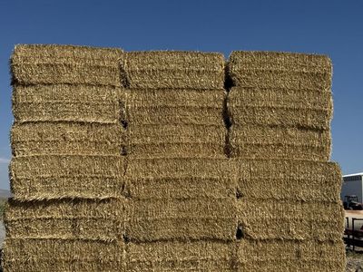 Clean 3x4 Straw Bales