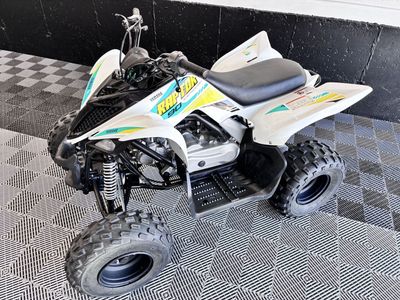 2022 Yamaha Raptor 90