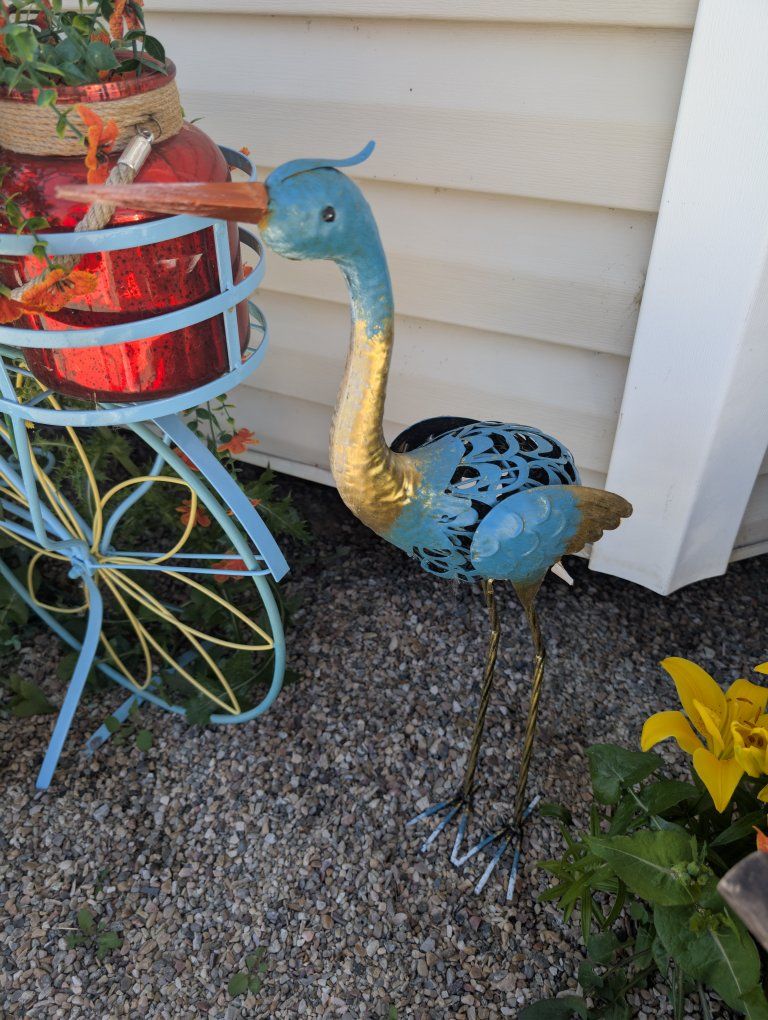 New blue bird