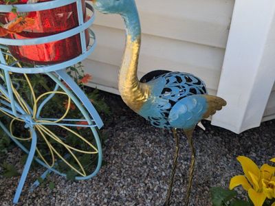 New blue bird