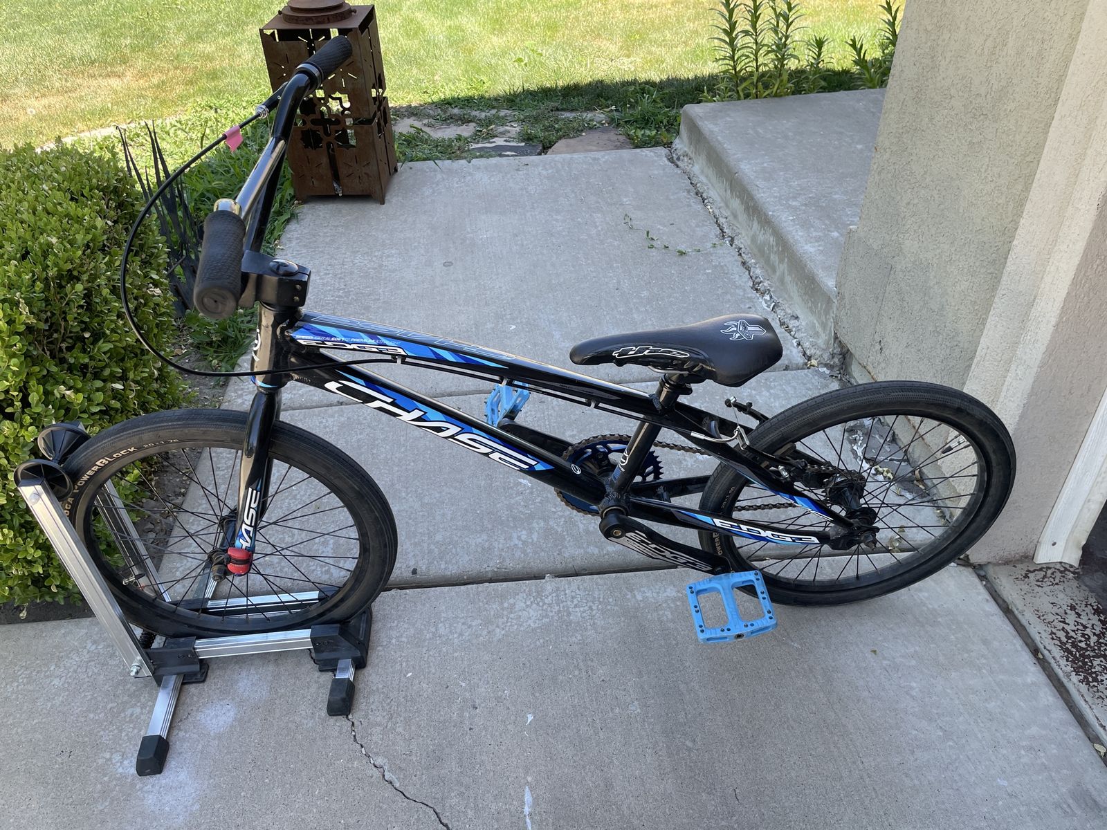 Chase Edge BMX Race Bike - Black/Blue, Pro Size