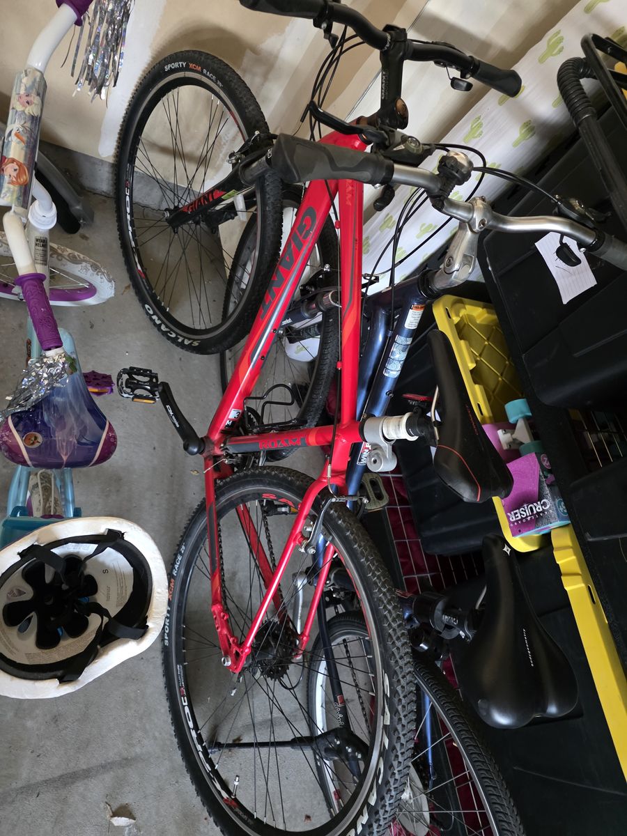 2 Bikes - Giant & Diamondback
