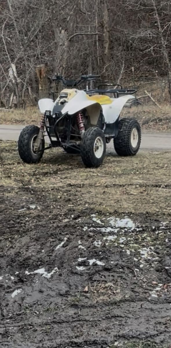 2002 Polaris Trail blazer 250