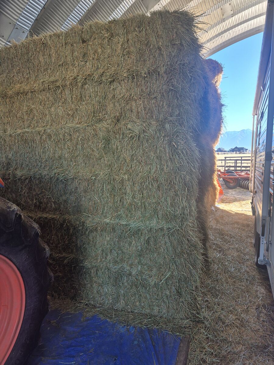 3x3x8 grass hay for sale