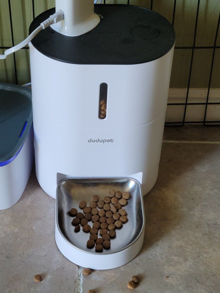 Dudupet Automatic Pet Feeder with Stainless Steel Bowl - White, Smart Food Dispenser