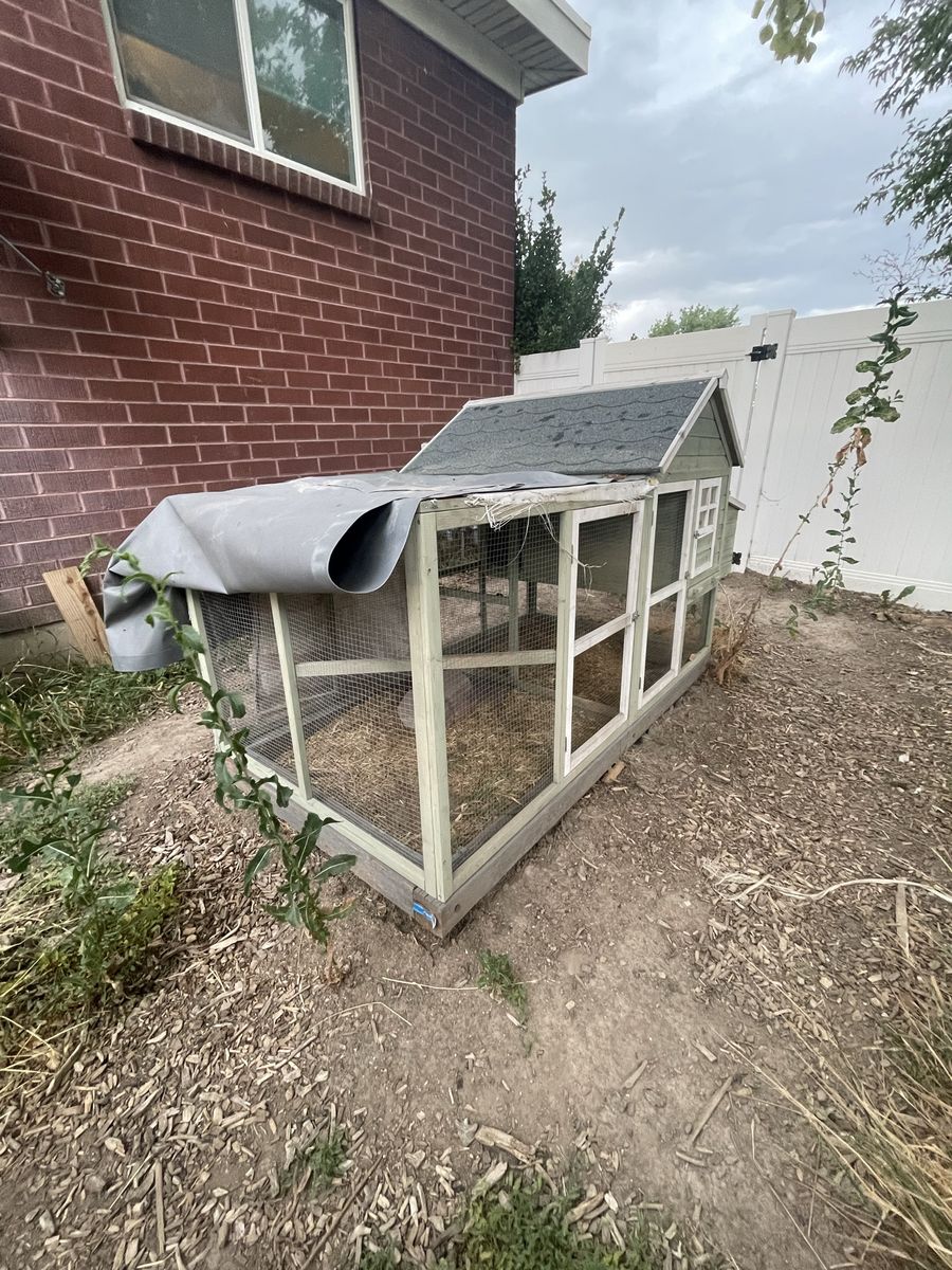 Chicken coop