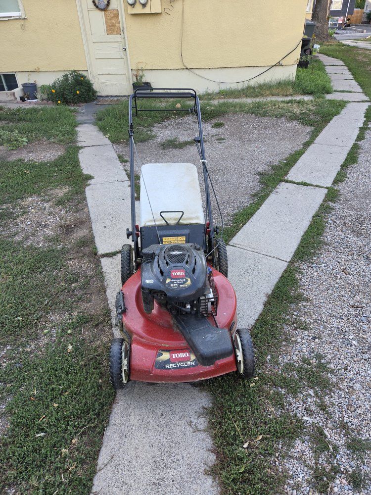 Toro Recycler 22-Inch Gas Push Lawn Mower with Grass Bag