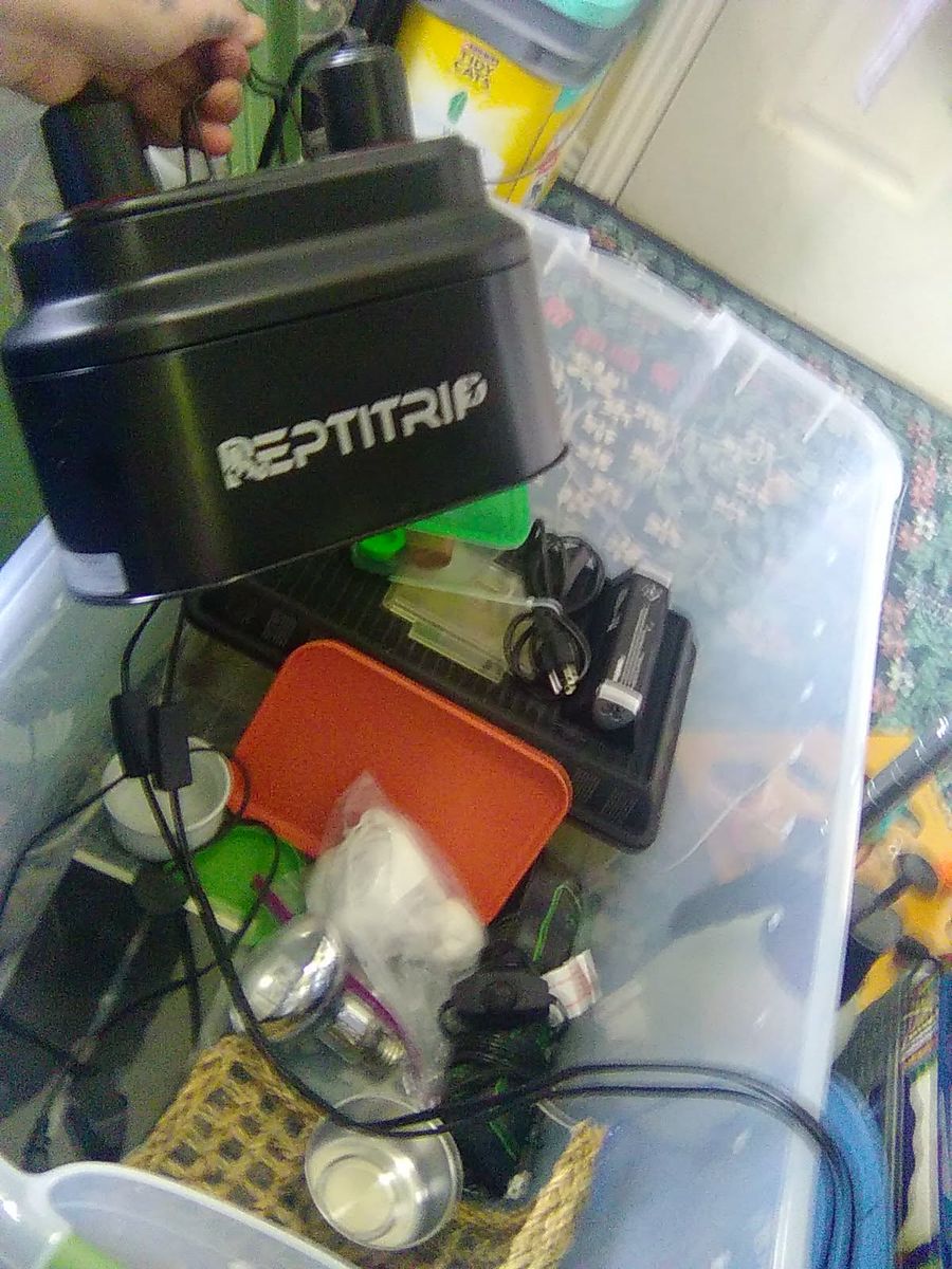Reptile supplies like new