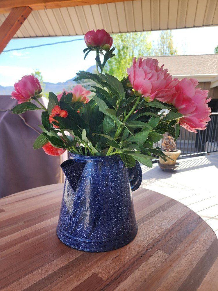 Vintage Blue Speckle Graniteware Cowboy Coffee Pot