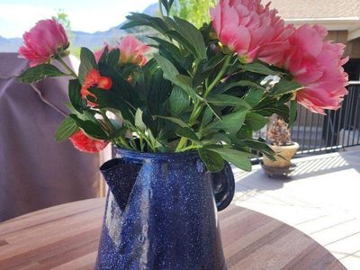 Vintage Blue Speckle Graniteware Cowboy Coffee Pot