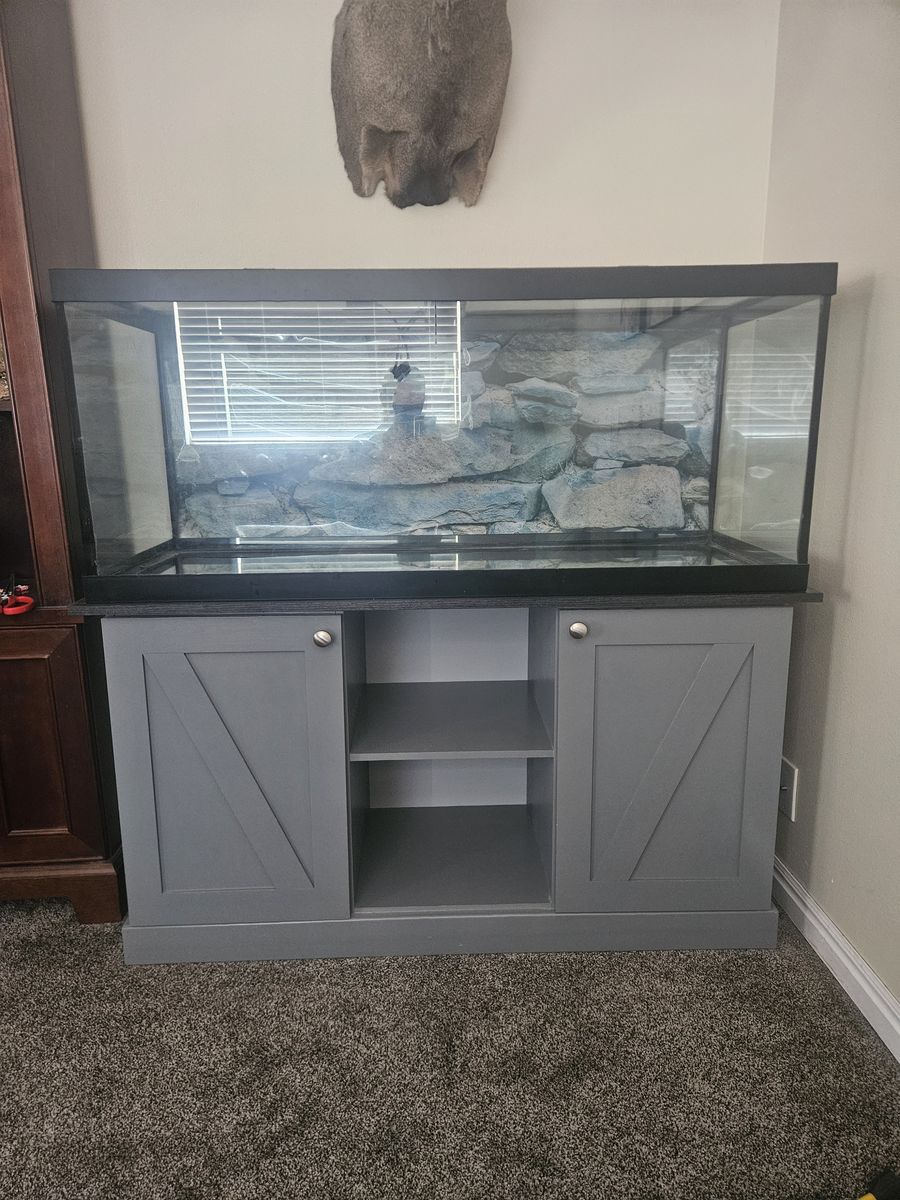 75 gallon fish tank set up.