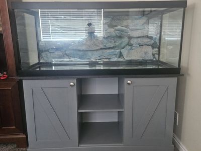 75 gallon fish tank set up.