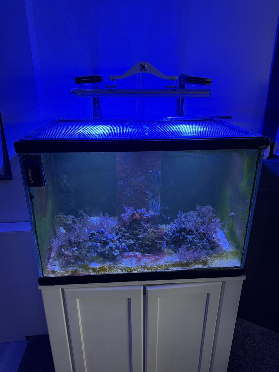 2 X Prime 16 HD And light Bat