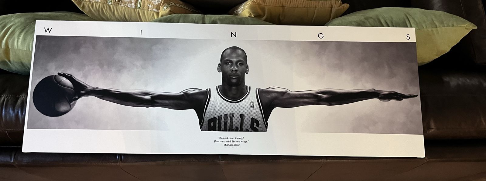Michael Jordan “WINGS” Large Canvas Wall Art – 52” x 17” – Great Condition