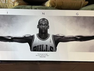 Michael Jordan “WINGS” Large Canvas Wall Art – 52” x 17” – Great Condition