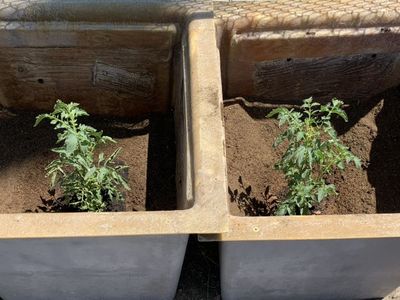 LifetimeHDPlywoodReinforced FiberglassPlantingTubs