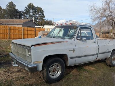 1982 Chevrolet C/K 20 Series C20 Silverado