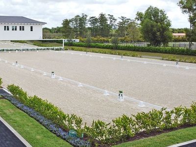 Dressage Arena - Cones and Rails