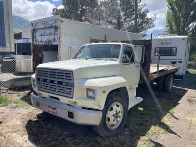 1982 FORD F600