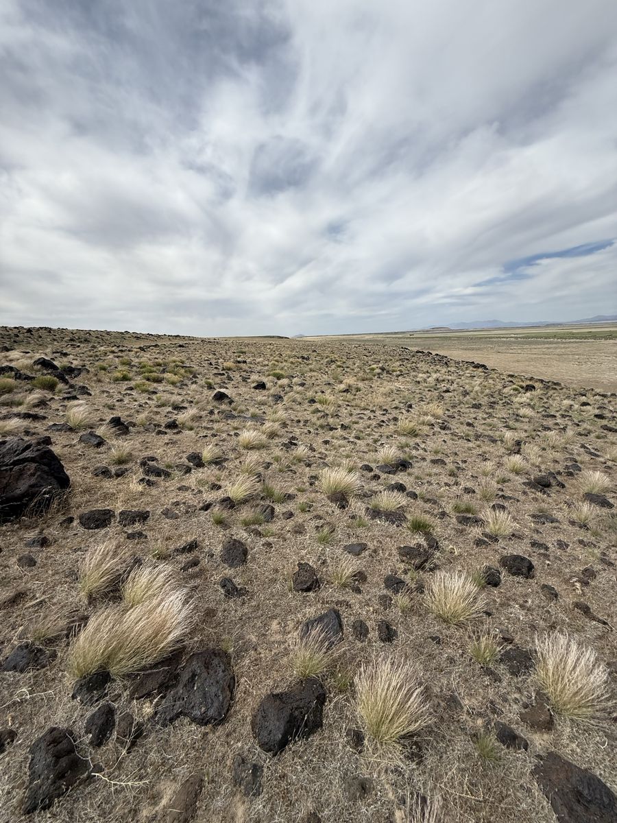 Main image 6