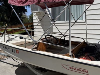 Boston Whaler boat with motor