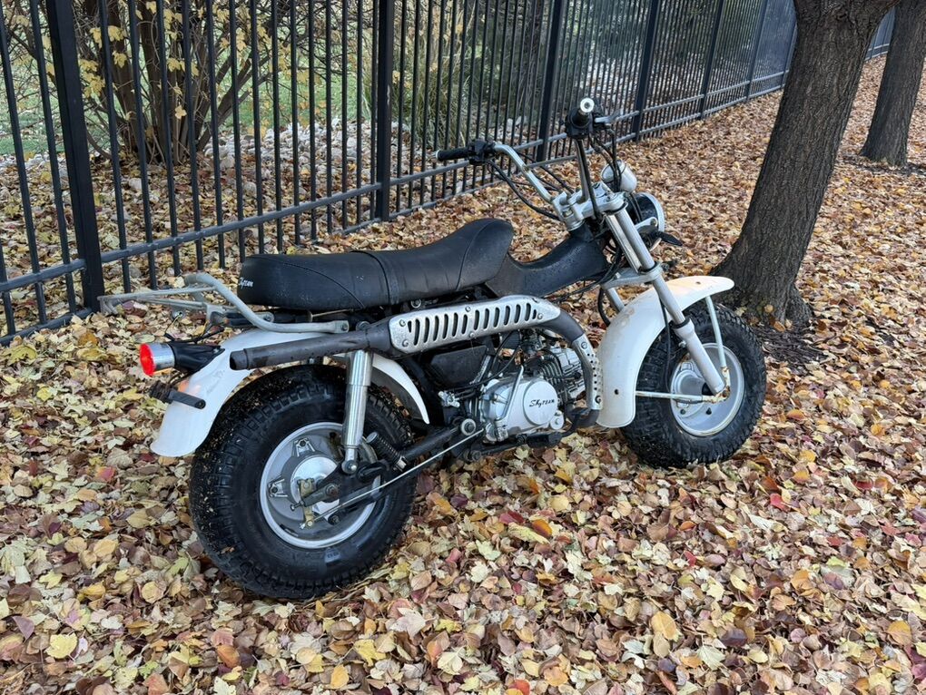 Sky Team 125cc Mini Bike