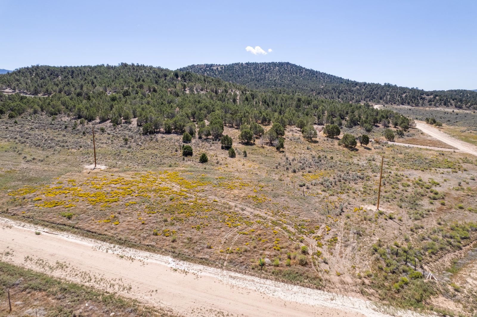 Main image 6