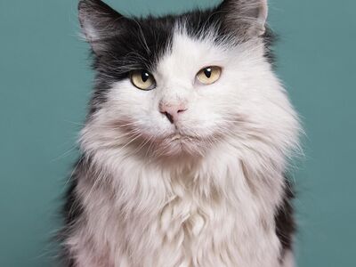 Hello my name is Bryce