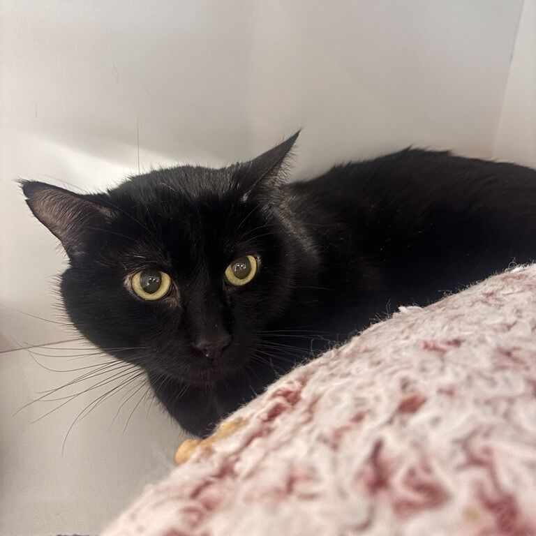 Hello my name is Aldo