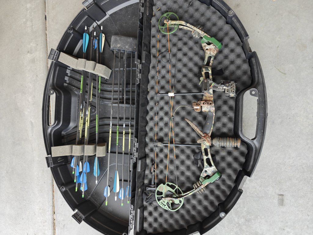 Bear Lights Out RH Compound Bow