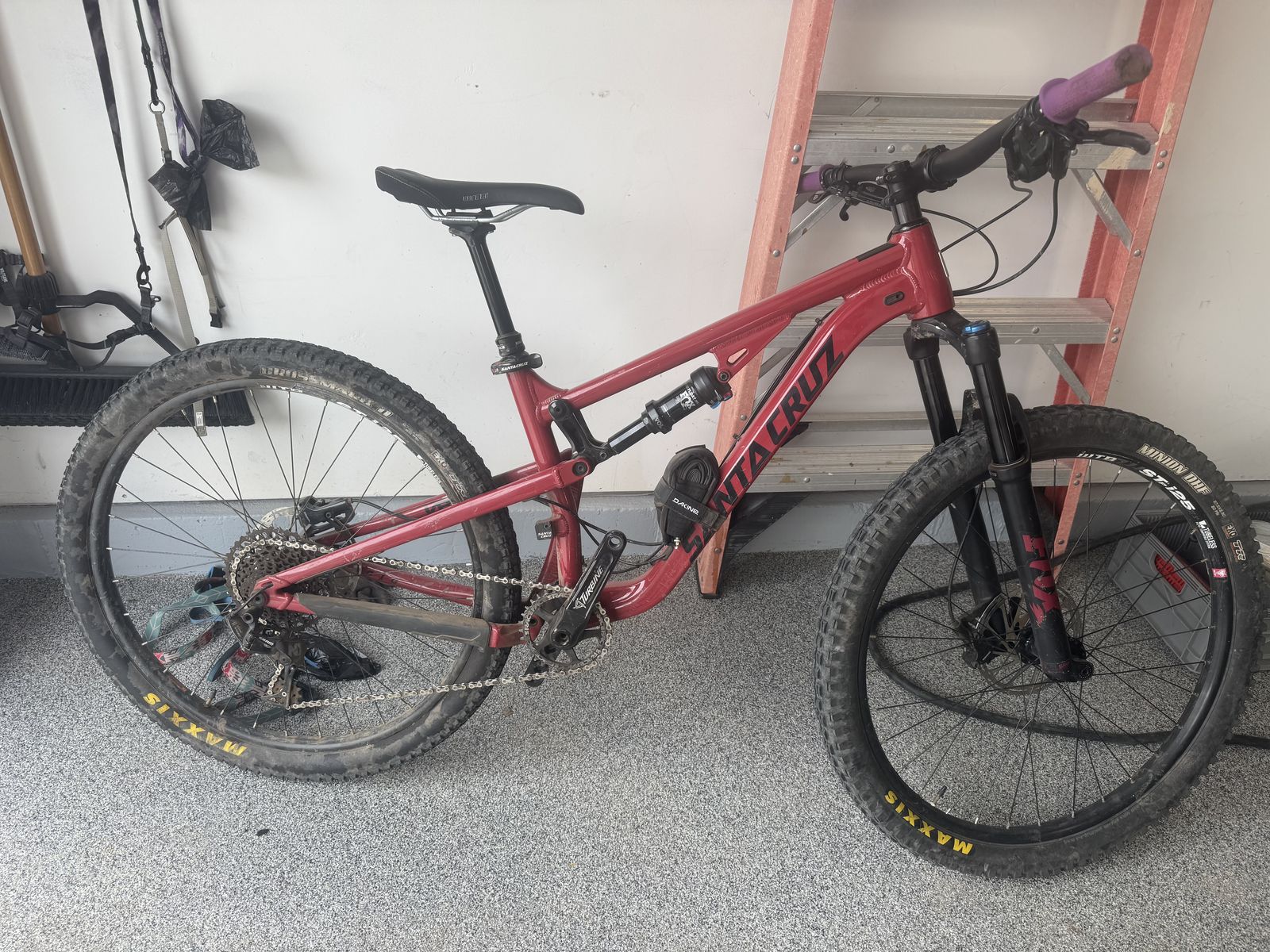 Santa Cruz for sale