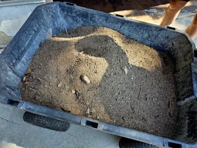 Free Fill Dirt Soil