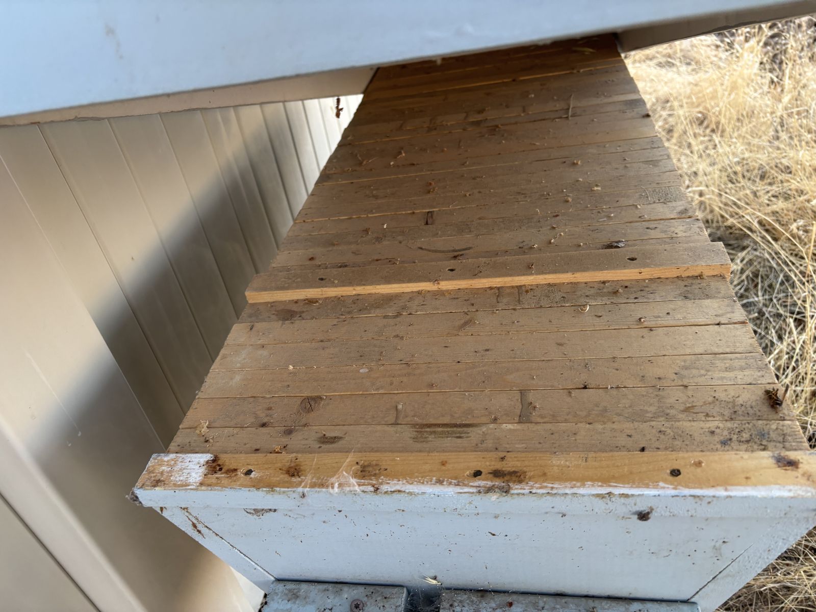FREE top bar beehives!
