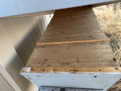 FREE top bar beehives!