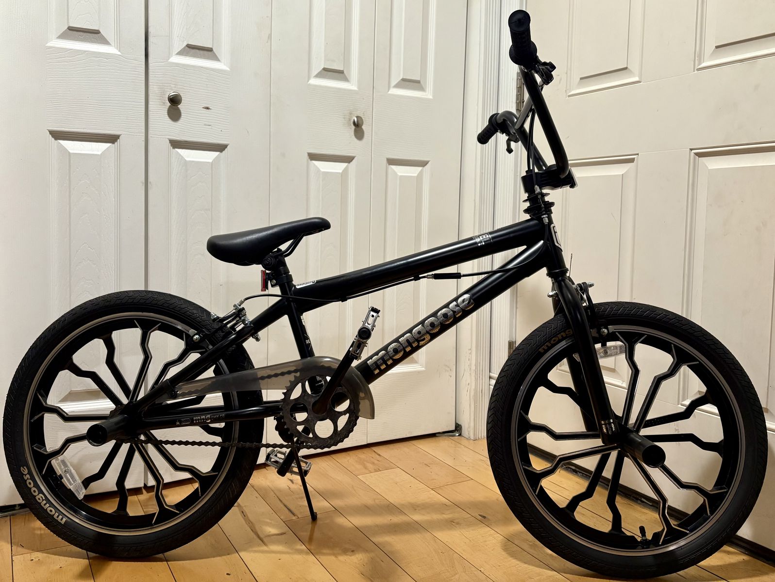 20 Inch Mongoose BMX Bike