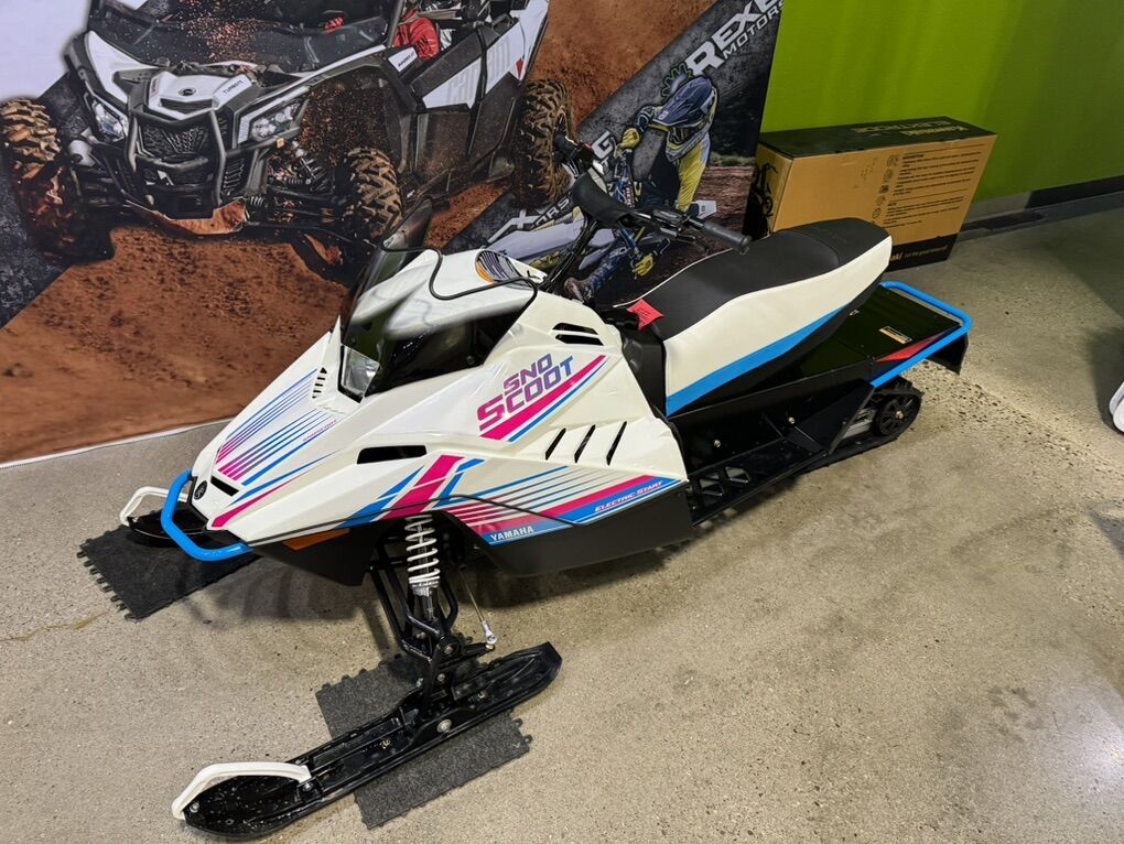 200 Yamaha Snow Scoot