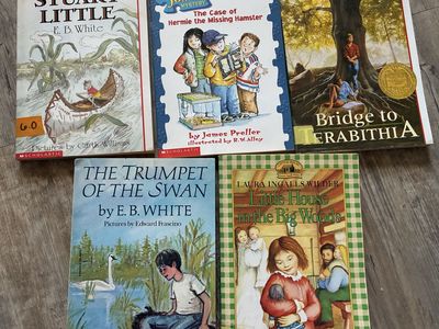 Lot of 5 Classic Children's Chapter Paperback Books (Bridge to Terabithia, Stuart Little, etc.) book