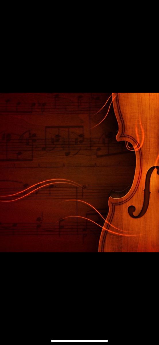 Violin
