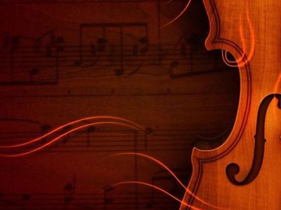 Violin