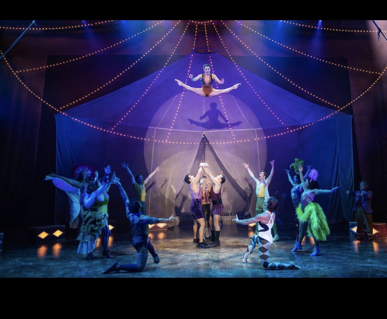 Tickets for "Water for Elephants"