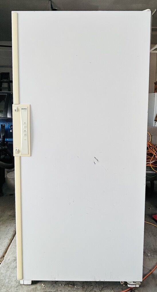 20 Cubic Foot Frost Free Freezer