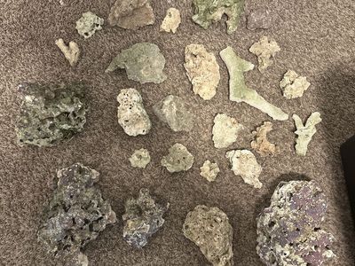 Dry salt water rock