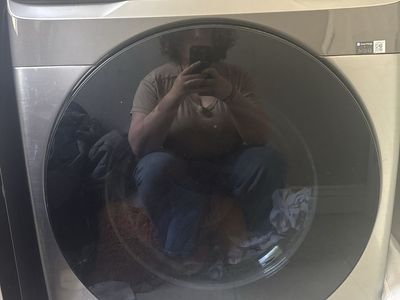 Samsung Multi-Steam Electric Dryer (Model DVE45B6300P)