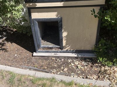 Dog house