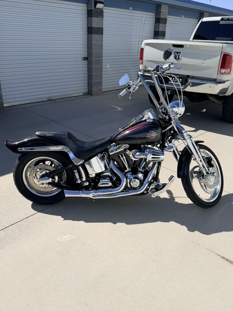 2005  HD Springer Softail