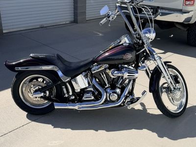 2005 HD Springer Softail