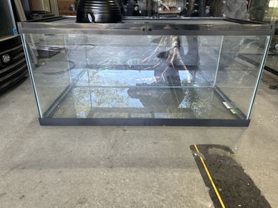 40 gallon tank