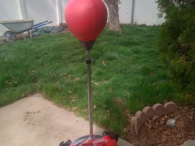 Punching bag