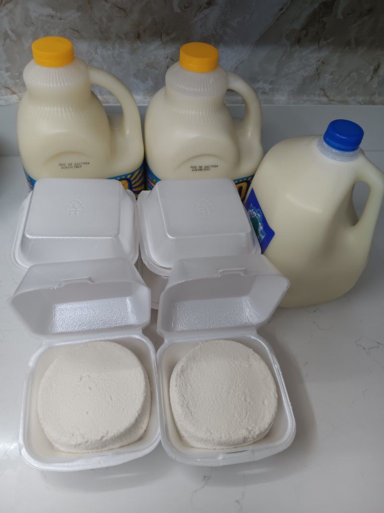 leche y queso fresco de chiva